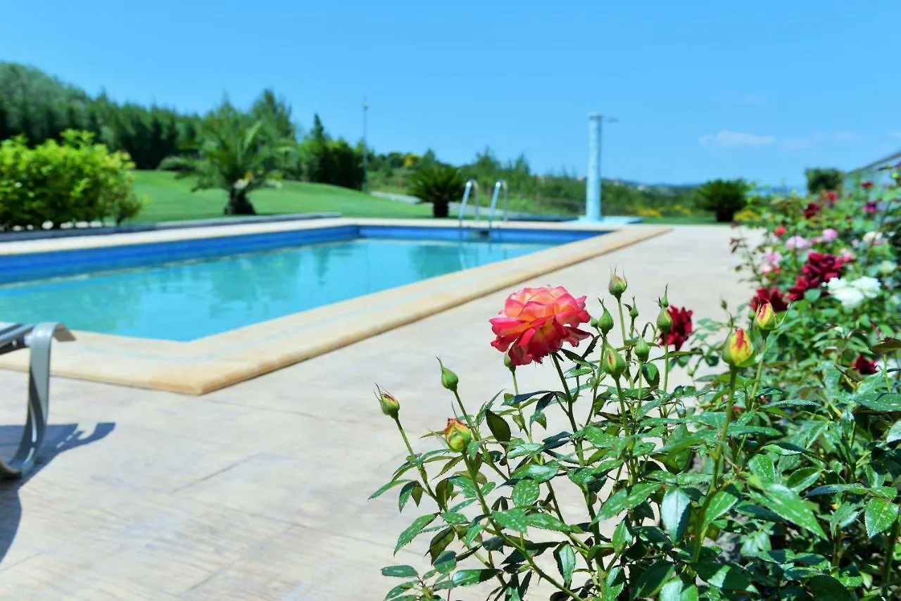 Villas Hanioti 0*,